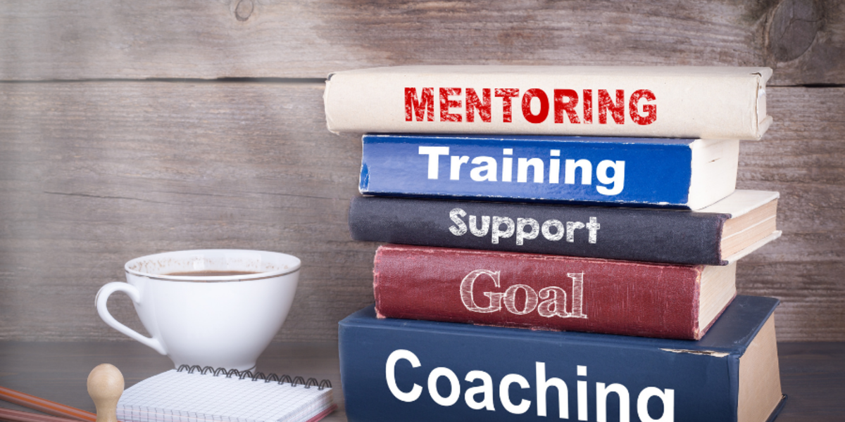  What makes a good Career Mentor?